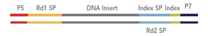 index图片